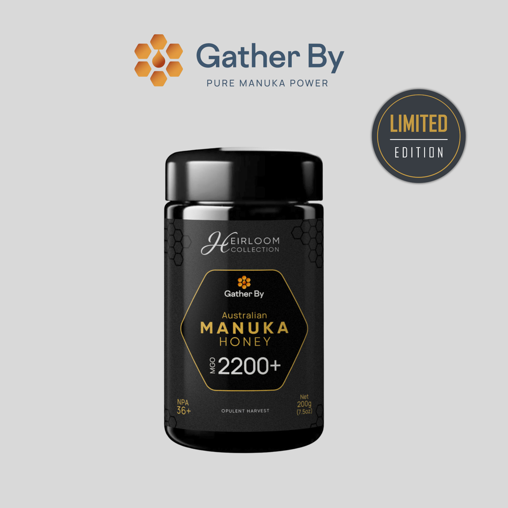 Gather By Manuka MGO2200 - Limited Edition